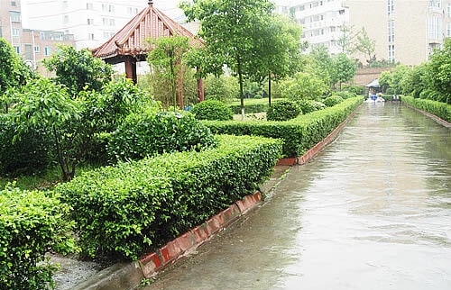仁壽華興中學(xué)校園風(fēng)采