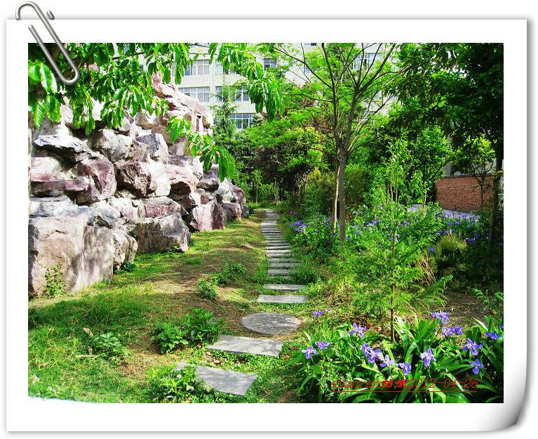 甘洛中學(xué)地址在哪里？