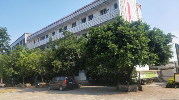 隆昌八中在哪里？