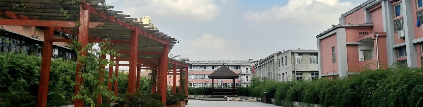成都市通錦中學(xué)2019年中考分?jǐn)?shù)線是多少？