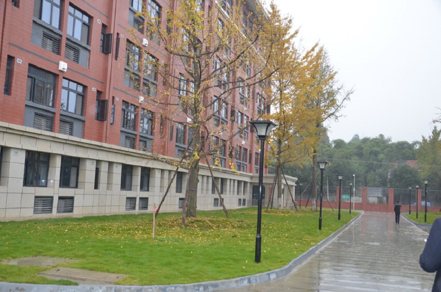 永安中學2019年升學率是多少？