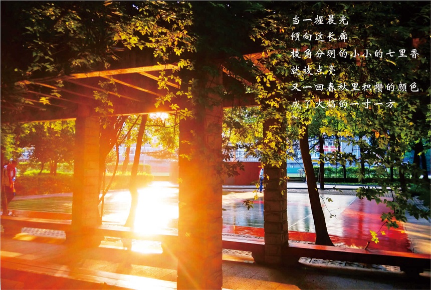 成都七中高新校區(qū)2019年中考分數(shù)線是多少？