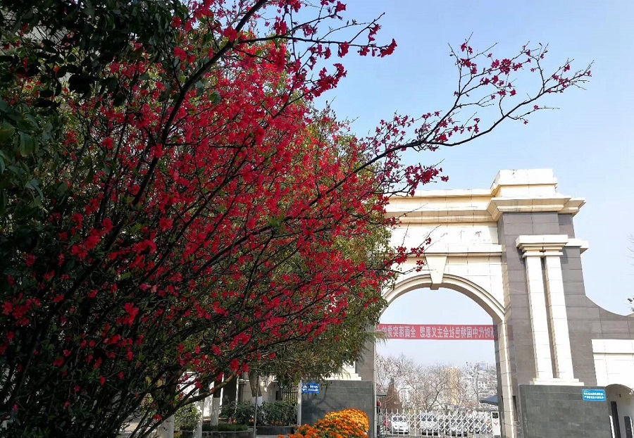 綿陽南山中學(xué)學(xué)費(fèi)貴嗎？