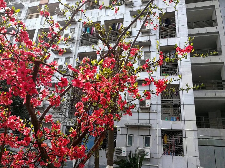 綿陽南山中學(xué)是一所公辦的高中吧？