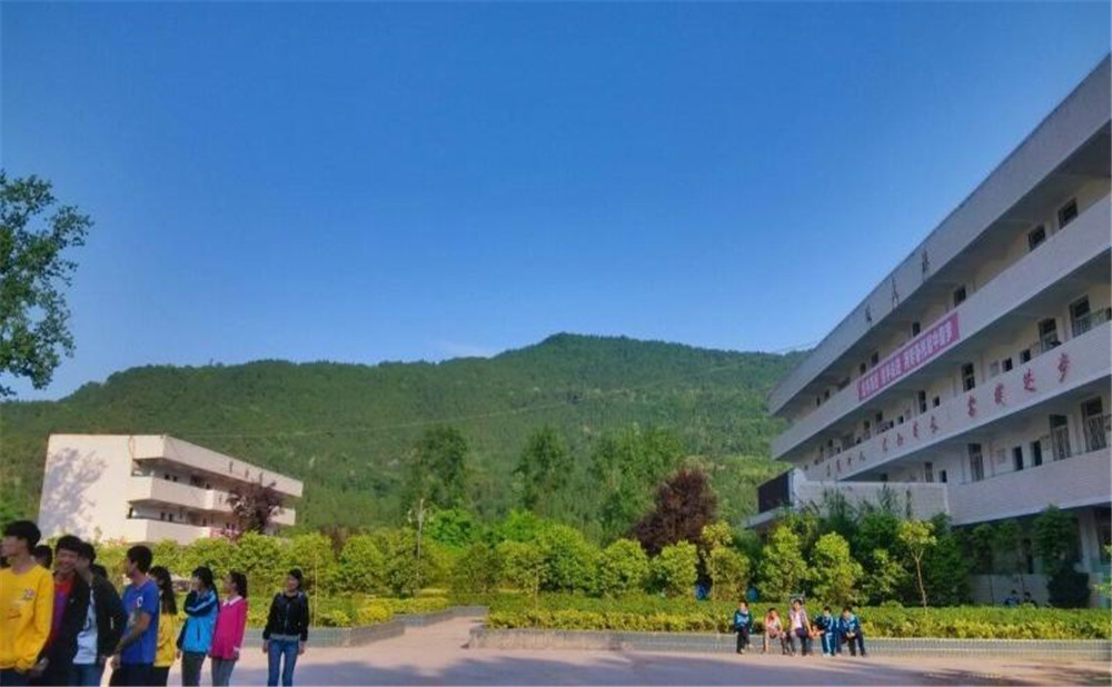 金山中學(xué)2020年學(xué)校招生計劃在哪兒看？