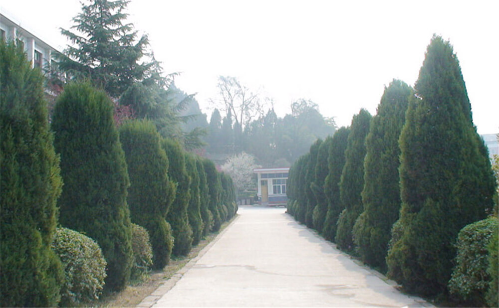 建興中學(xué)學(xué)校環(huán)境怎么樣？