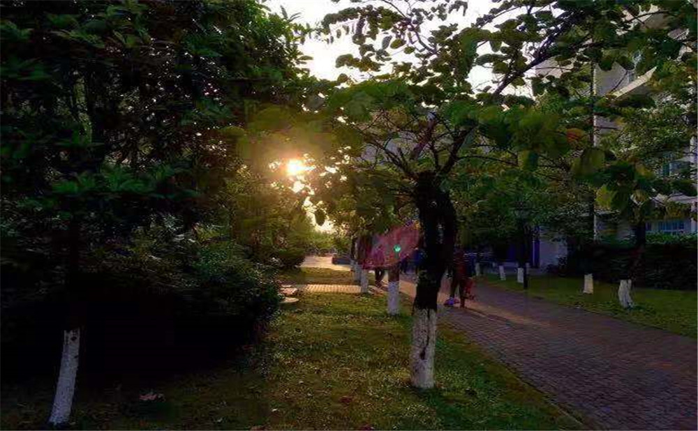 成都成飛中學升學率怎么樣？