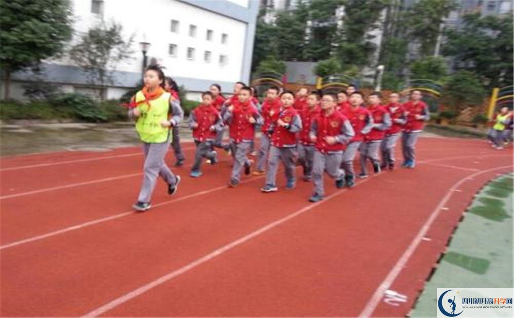 2020成都市泡桐樹中學的升學率有多少？