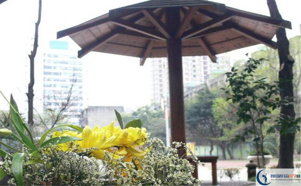 成都市石室聯(lián)中蜀華分校的高中好不好？