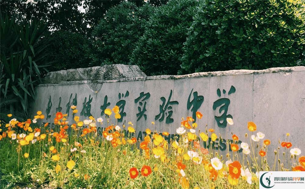 上電子科技大學(xué)實(shí)驗(yàn)中學(xué)的分?jǐn)?shù)線是多少分？