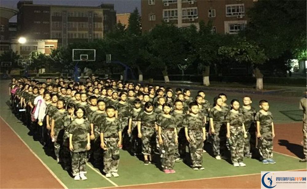 考樹德博瑞實驗學校的分數線是多少？