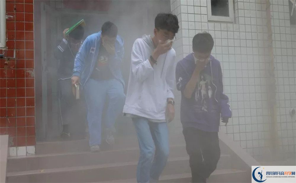 考新格林藝術高級中學校的分數(shù)線是多少？