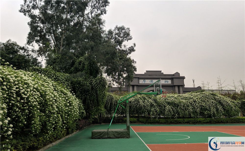 雙流藝體中學(xué)住宿條件怎么樣？