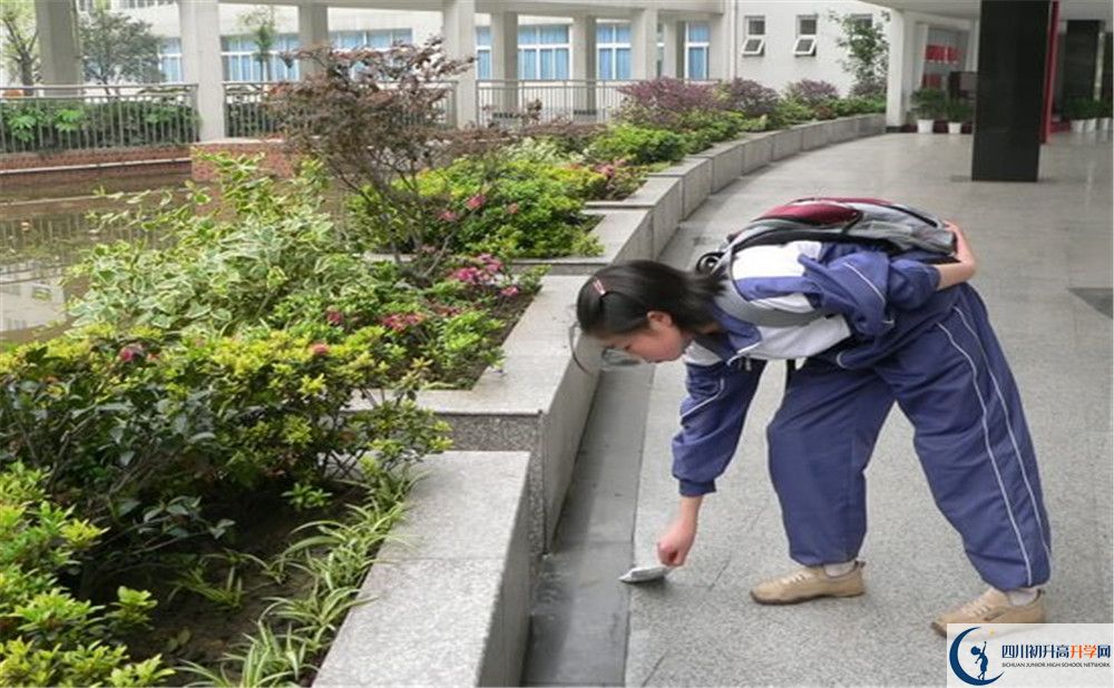 成都市龍泉中學(xué)初升高向外地招生嗎？
