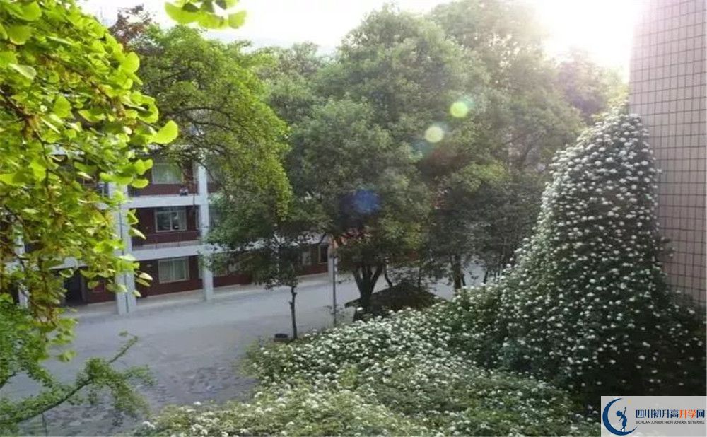 成都市石室聯(lián)中蜀華分校2020年保送清華北大的人數(shù)是多少？
