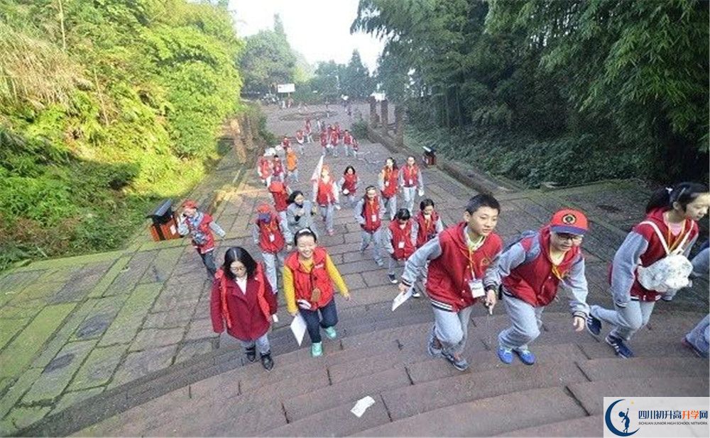 成都市泡桐樹(shù)中學(xué)2020年保送清華北大的人數(shù)是多少？