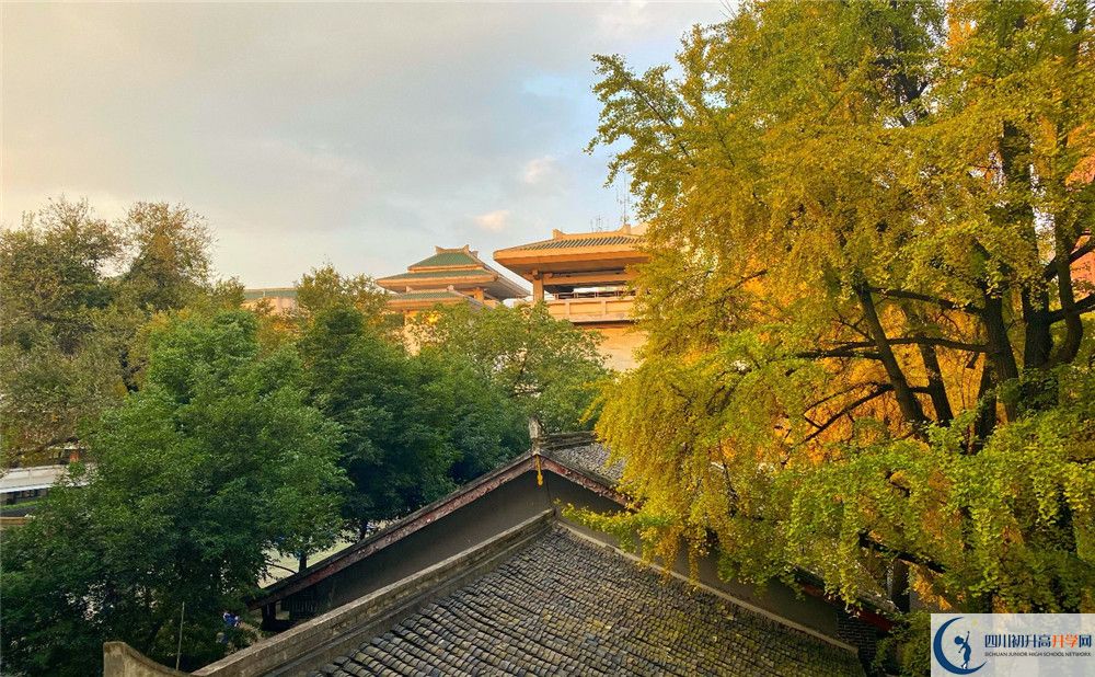 成都石室中學(xué)位置在哪里？