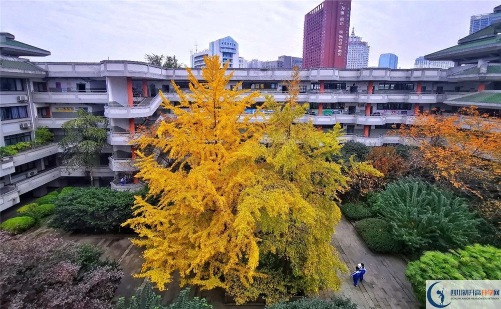 成都市泡桐樹中學2020年全國排名？