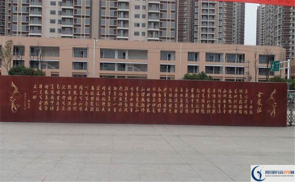 成都經(jīng)濟(jì)技術(shù)開(kāi)發(fā)區(qū)實(shí)驗(yàn)中學(xué)2020年全國(guó)排名是多少？