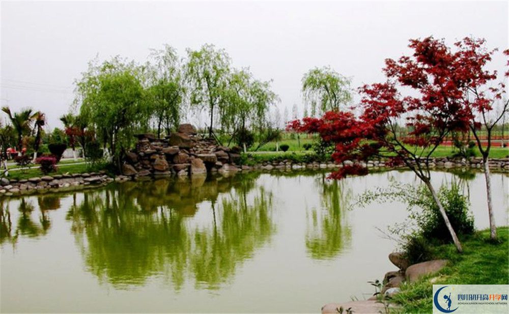 成都七中實(shí)驗(yàn)學(xué)校面向全國(guó)招生嗎？