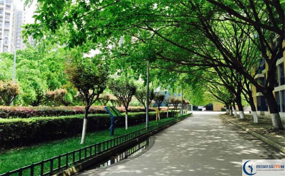 成都七中實(shí)驗(yàn)學(xué)校和成都實(shí)驗(yàn)外國(guó)語(yǔ)學(xué)校誰(shuí)好？