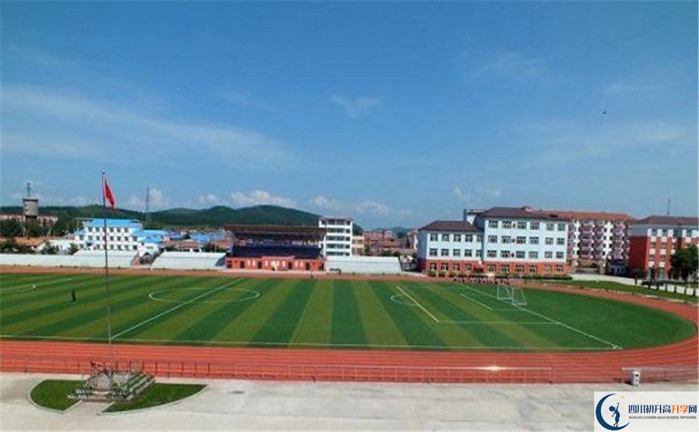 成都市華陽中學(xué)2020年高考人數(shù)是多少？