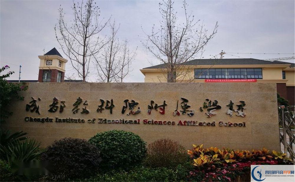 成都教科院附屬學校今年的錄取條件是否有變化？