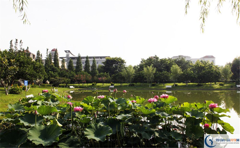 2020成都市太平中學初三畢業(yè)時間如何變化？