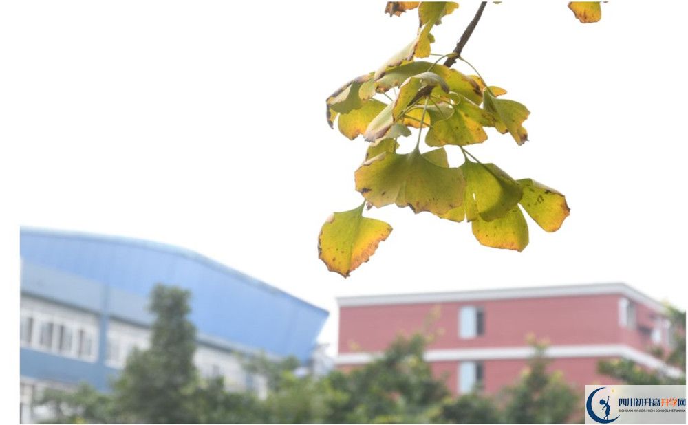 北京師范大學成都實驗中學初升高難不難？