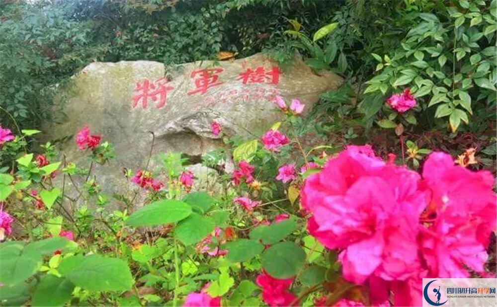 2020遂寧中學(xué)外國(guó)語(yǔ)實(shí)驗(yàn)學(xué)校初升高錄取線是否有調(diào)整？