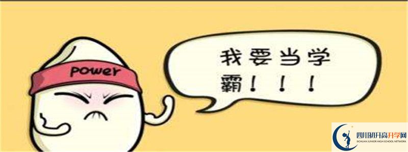 北二外成都附中2021清華北大錄取學(xué)生多少？